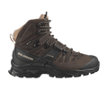 Salomon Wmns Quest 4 GORE-TEX 'Cork'
