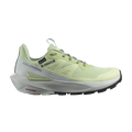 Salomon Wmns Elixir Activ GORE-TEX 'Celadon Green'