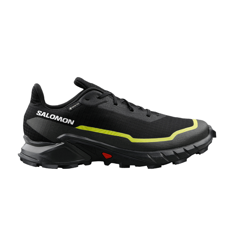 Salomon Alphacross 5 GORE-TEX 'Black Peat Sulphur'