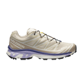 Salomon XT-6 'Milk Silver Cloud'