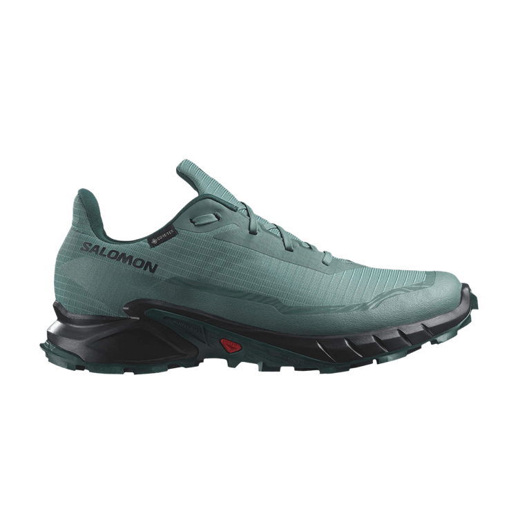 Salomon Alphacross 5 GORE-TEX 'Sea Moss Black'