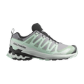 Salomon Wmns XA Pro 3D V9 GORE-TEX 'Quiet Shade'