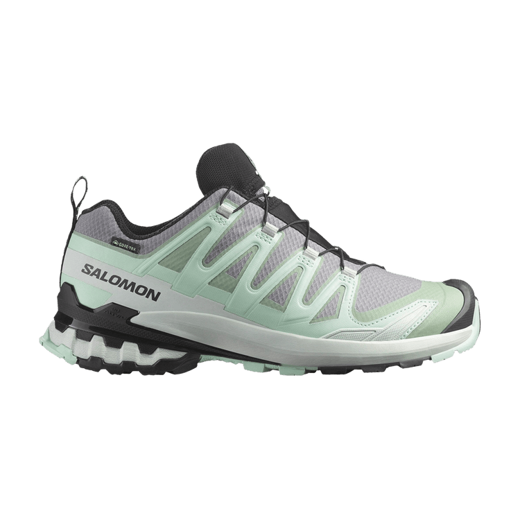 Salomon Wmns XA Pro 3D V9 GORE-TEX 'Quiet Shade'