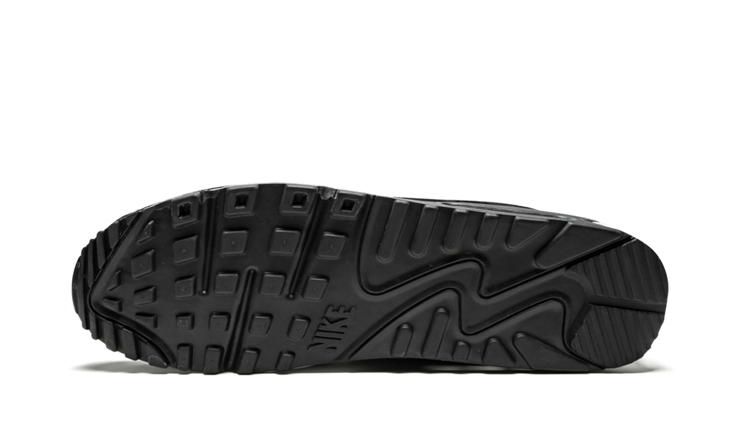Air Max 90 Premium "Rebel Skulls" 700155 009