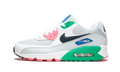 Air Max 90 Essential AJ1285 100
