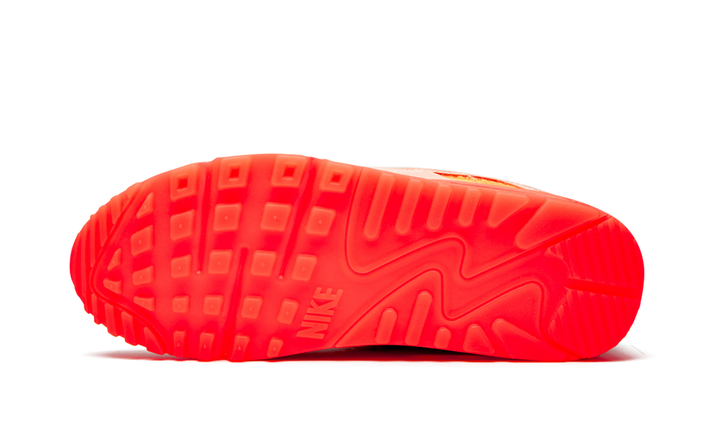 AIR MAX 90 PRM WMNS "Platinum Crimson/Bright Purple" CT3449 600