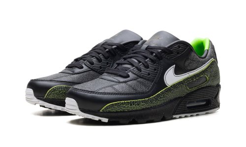 Air Max 90 "Tiempo 2005" IU0523 010