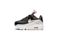Air Max 90 Leather SE TD "Off Noir Metallic Pewter" DJ0416 001