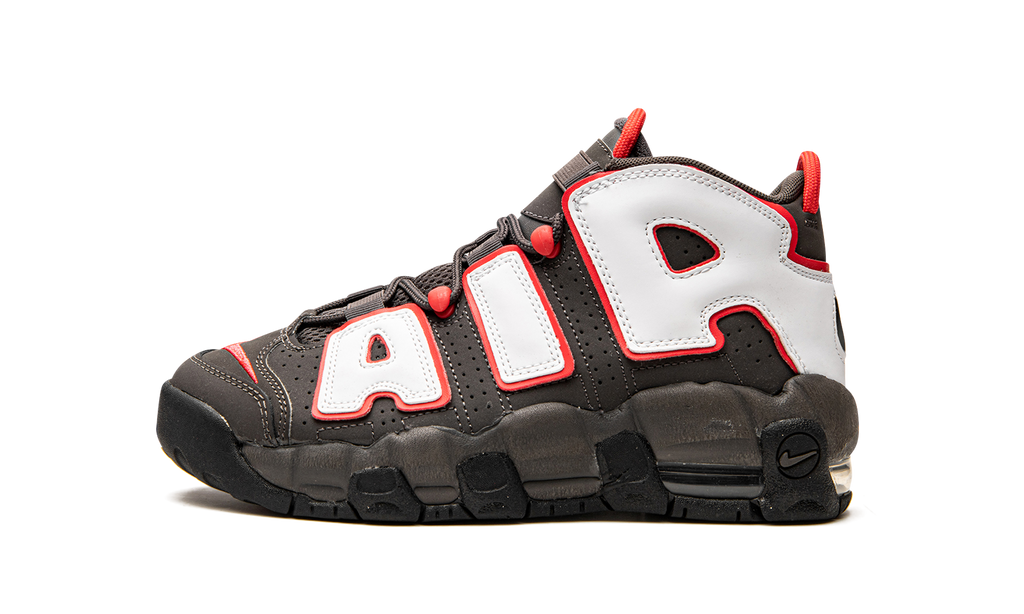 Air More Uptempo GS "Brown Bulls" DH9719 200