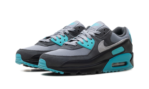 Air Max 90 "Dusty Cactus" DM0029 013