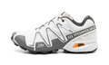 Speedcross 3 GTX "Lunar Rock Turmeric" L47731800
