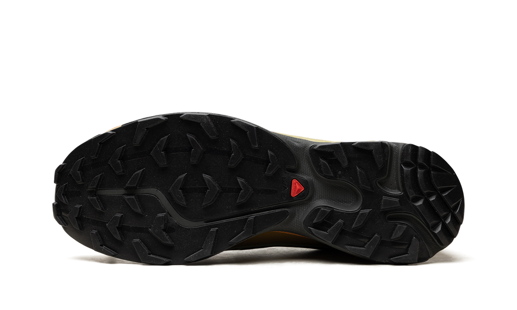 XT-6 Gore-Tex "Delicioso Tea" L49202100