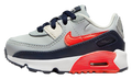 Air Max 90 Leather TD "Light Smoke Grey Bright Crimson" CD6868 021