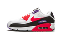 Air Max 90 Essential AJ1285 106