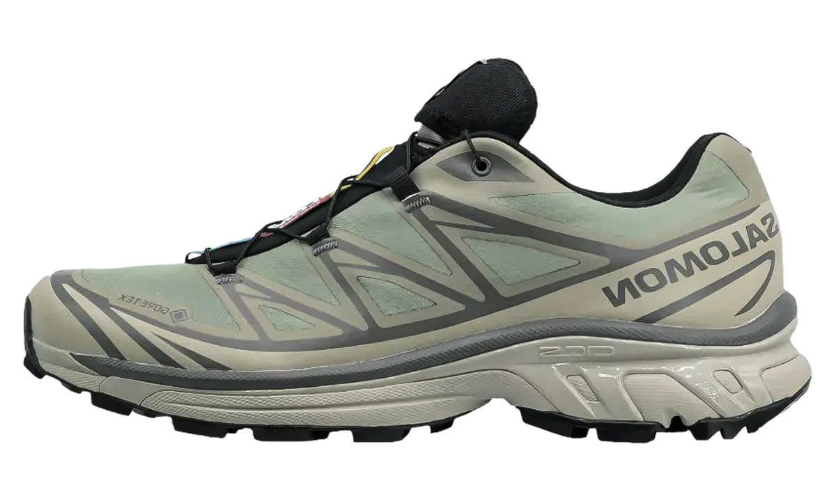 XT-6 Gore-Tex "White Pepper Silver Sage" L49215100