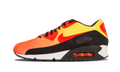 Air Max 90 EM "Sunset Pack" 554719 887