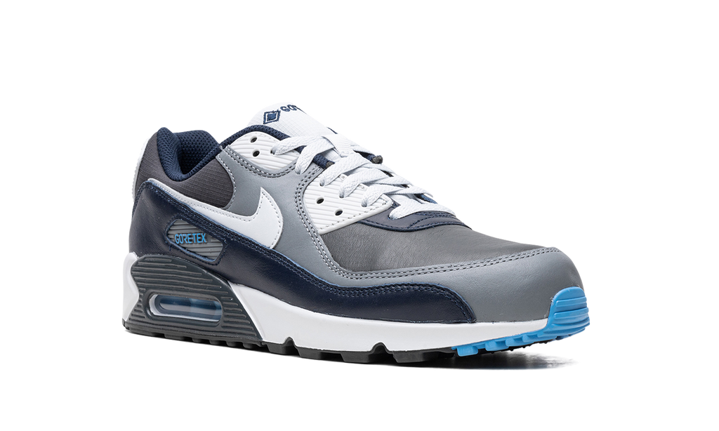 Air Max 90 Gore-Tex "Anthracite / Obsidian" DJ9779 004