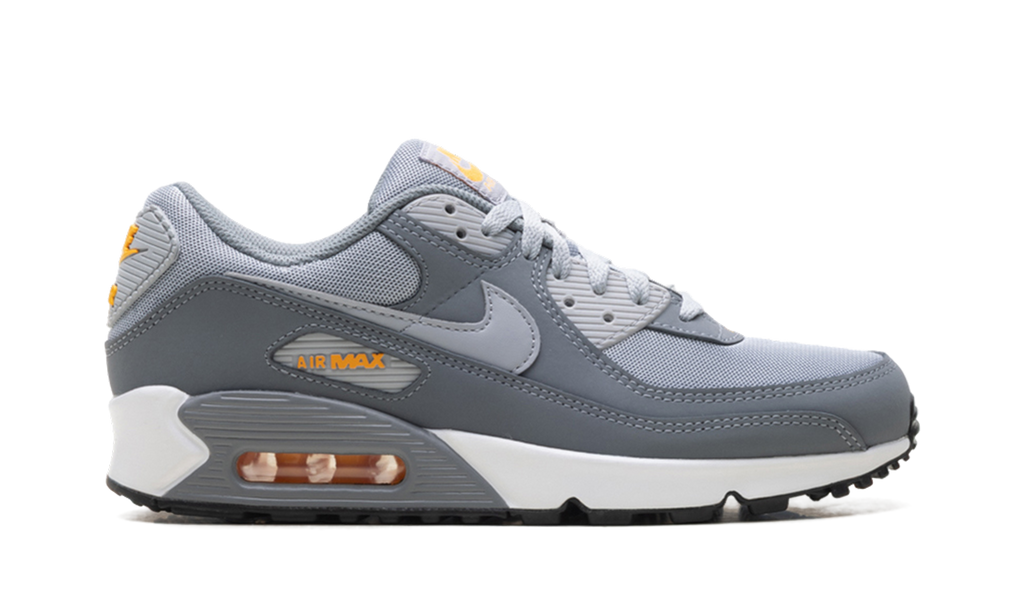 Air Max 90 "Cool Grey Sundial" HV6224 002