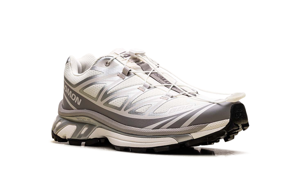 XT-6 "Vanilla Ice Silver Lilac Ash" L45472200