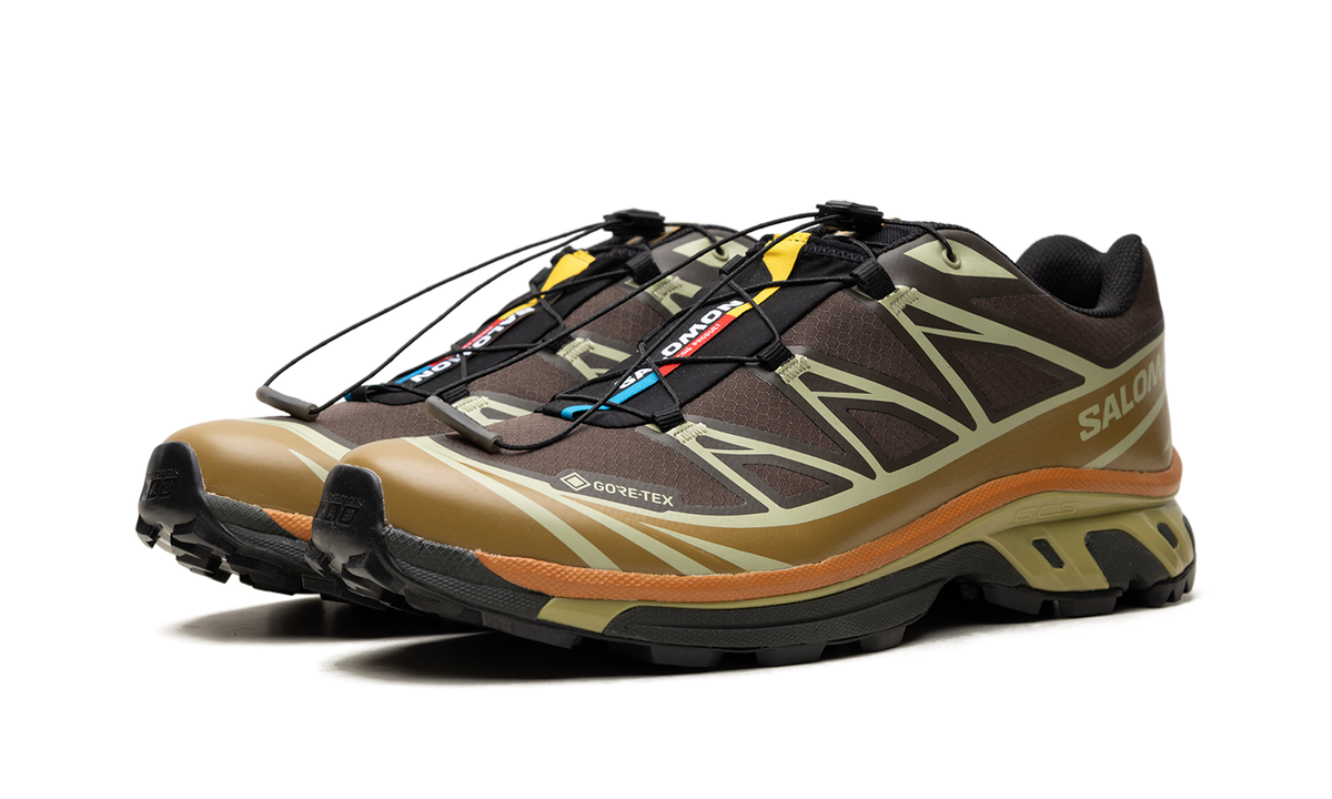 XT-6 Gore-Tex "Delicioso Tea" L49202100