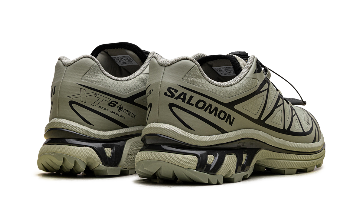 XT-6 Gore-Tex "Tea Peat" L47863800