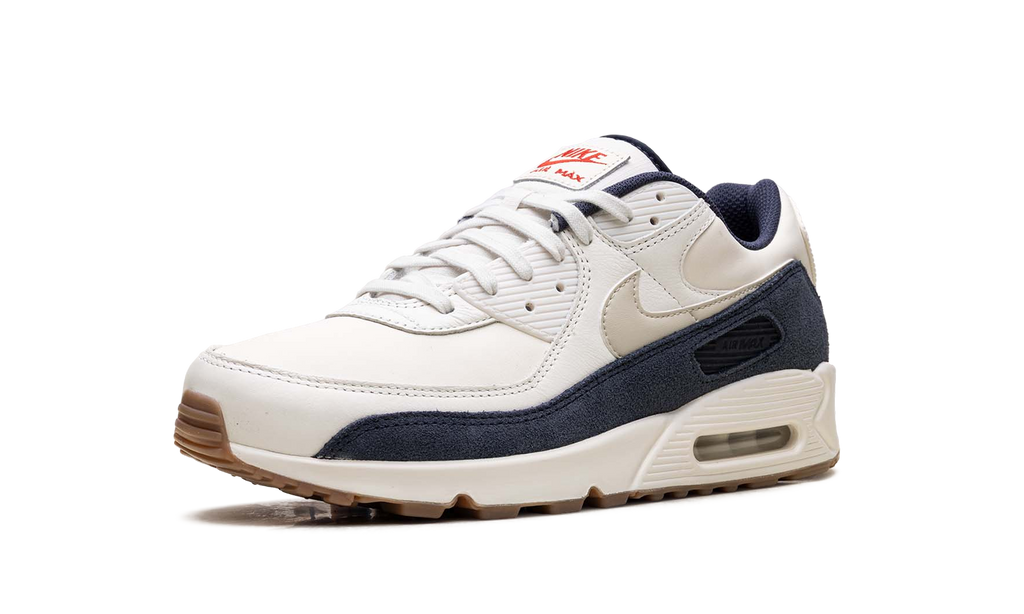 Air Max 90 "Rare Air - Pale Ivory" IH4379 110