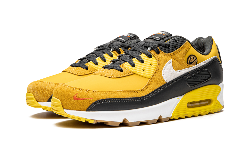 Air Max 90 "Go The Extra Smile" DO5848 700