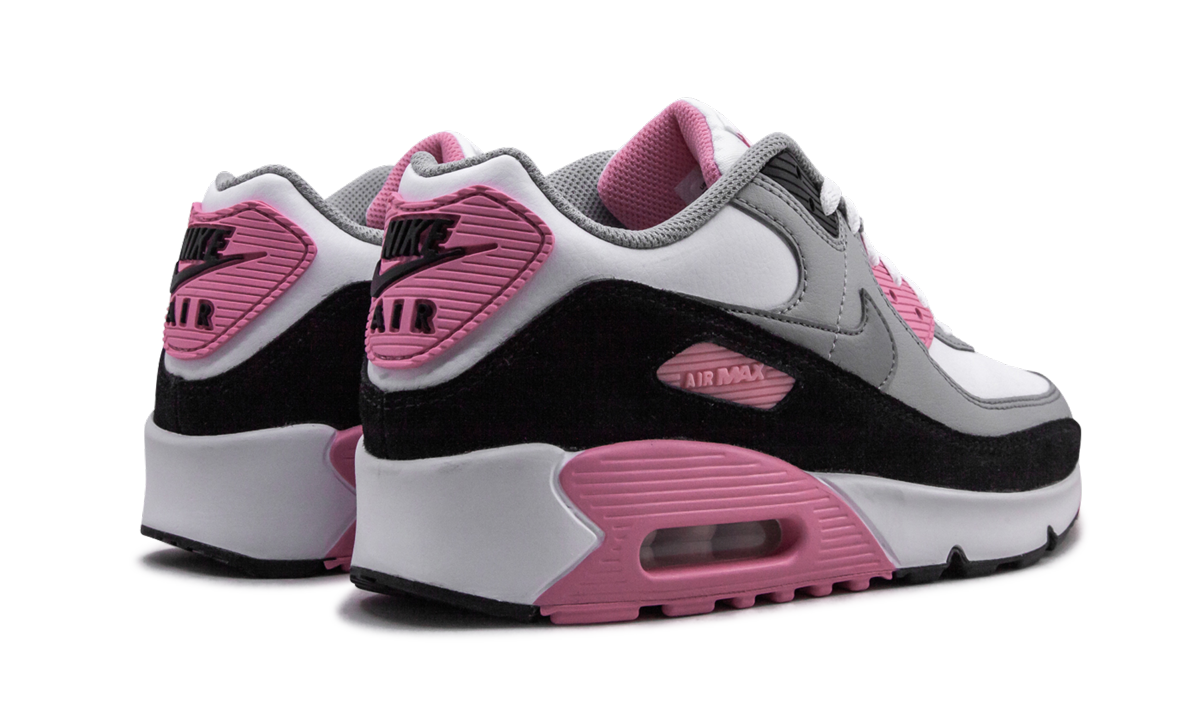 Air Max 90 LTR (GS) "Rose Pink" CD6864 104