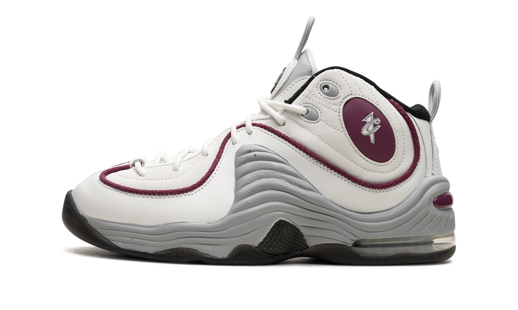AIR PENNY 2 WMNS "Rosewood" DV1163 100