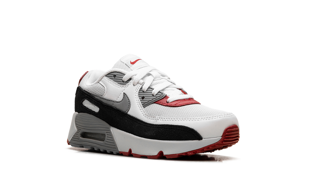 Air Max 90 PS "Photon Dust Grey" CD6867 019