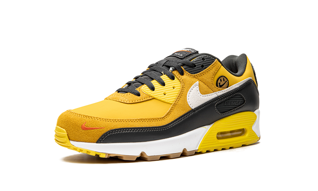 Air Max 90 "Go The Extra Smile" DO5848 700