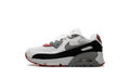 Air Max 90 PS "Photon Dust Grey" CD6867 019