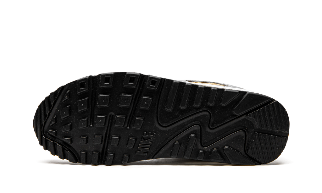 AIR MAX 90 SE MNS WMNS "Metallic" DJ6208 100