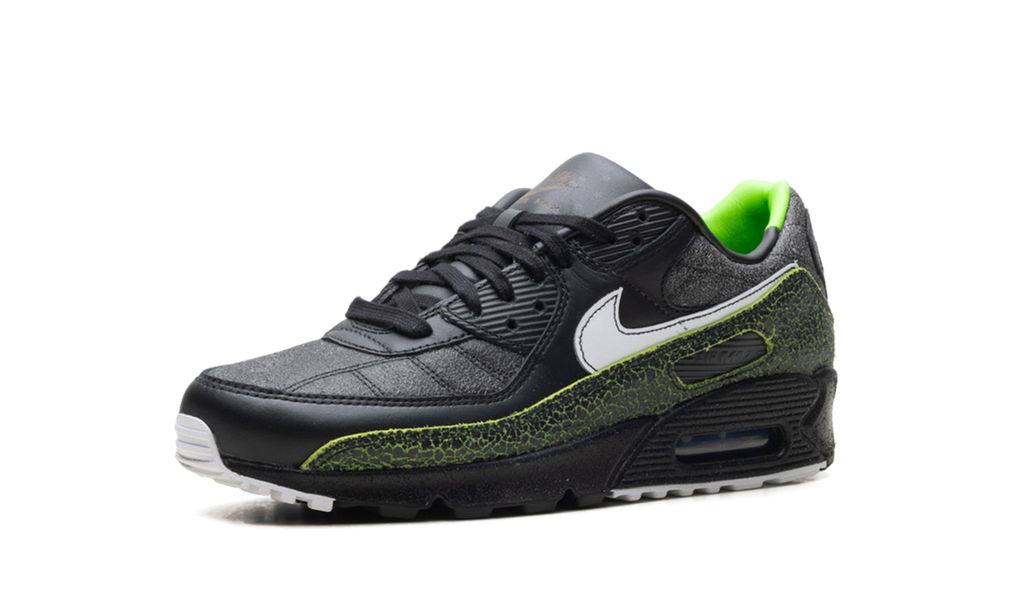 Air Max 90 "Tiempo 2005" IU0523 010
