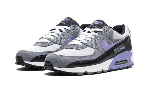Air Max 90 "Light Thistle" DM0029 014