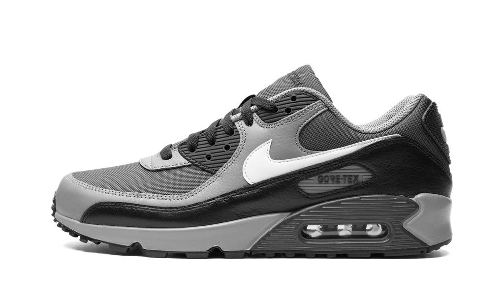 Air Max 90 GORE-TEX "Dark Smoke Grey" FD5810 002