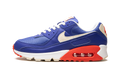 Air Max 90 DM8316 400