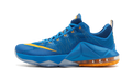 Lebron 12 Low "Entourage" 724557 484