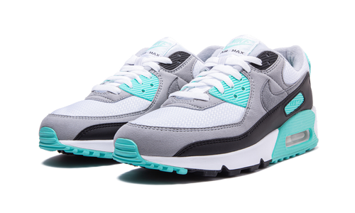 Air Max 90 "Turquoise" CD0881 100