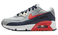 Air Max 90 Leather PS "Light Smoke Bright Crimson" CD6867 021