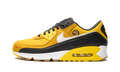 Air Max 90 "Go The Extra Smile" DO5848 700