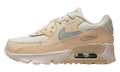 Air Max 90 LTR PS "PHANTOM/SHIMMER/PEARL WHITE/METALLIC SILVER" DZ5319 001