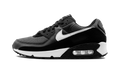 Air Max 90 "Iron Grey" CN8490 002