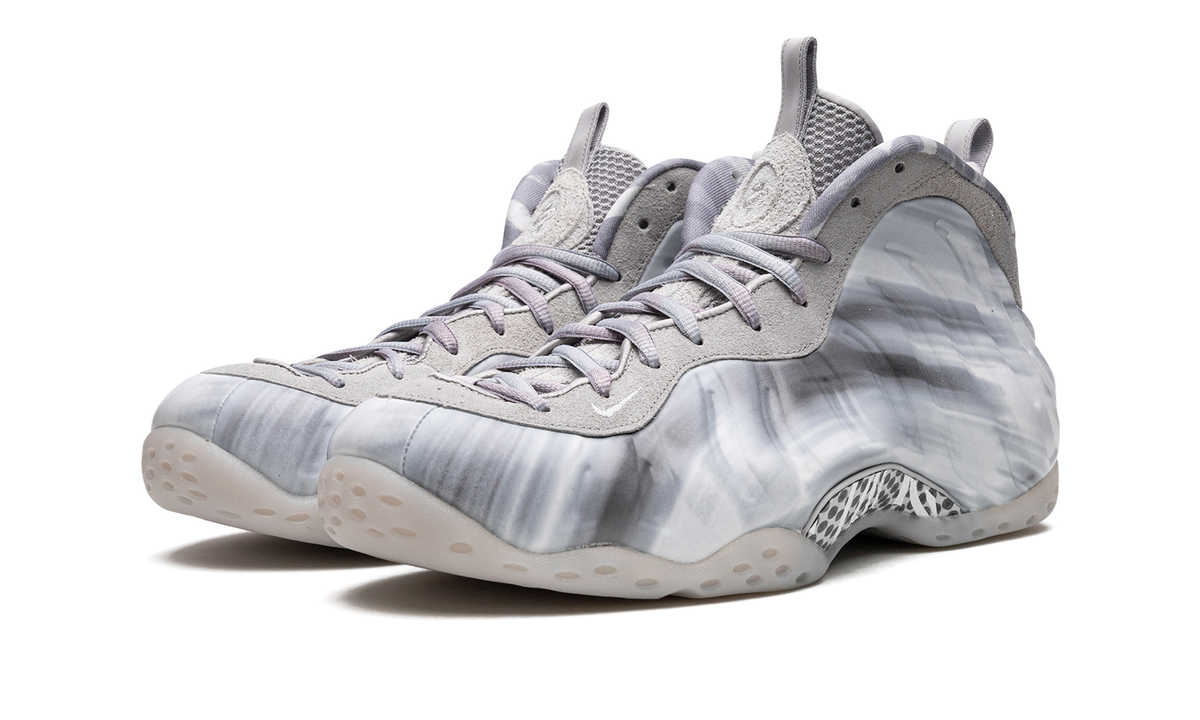 Air Foamposite One "Dream a World - Grey" DM0115 001