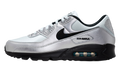 Air Max 90 Premium "Scorpion" IV5974 001