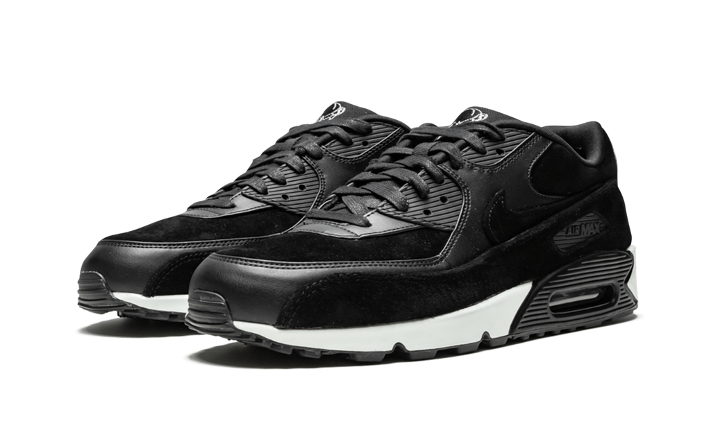 Air Max 90 Premium "Rebel Skulls" 700155 009