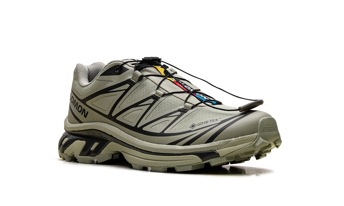 XT-6 Gore-Tex "Tea Peat" L47863800