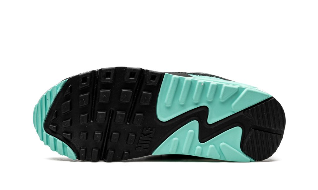 AIR MAX 90 WMNS "Turquoise" CD0490 104
