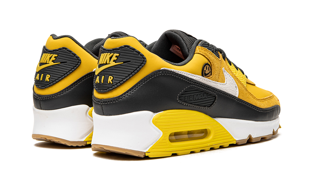 Air Max 90 "Go The Extra Smile" DO5848 700