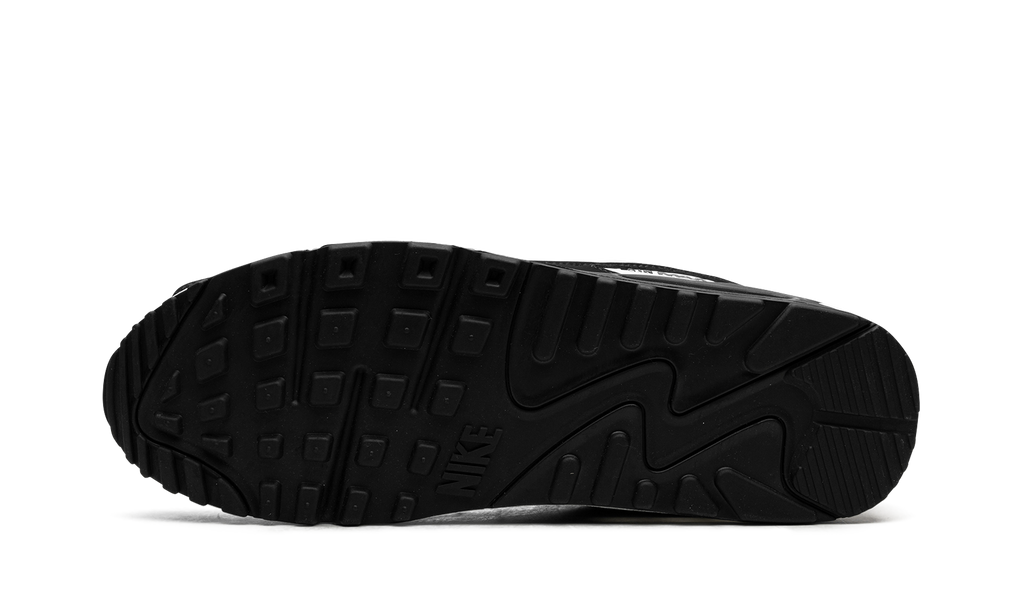 Air Max 90 "Panda" CN8490 101